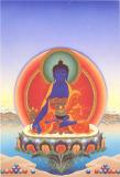 40Buda_de_la_Medicina_02