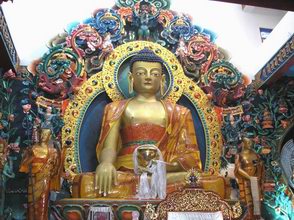 Buda Sakiamuni de Rigon Tashi Choeling
