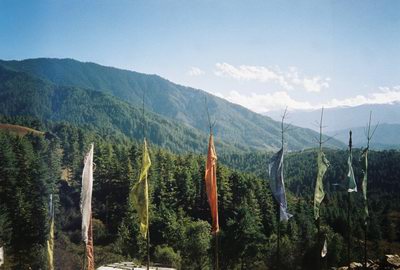 banderas