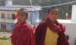 Monjes